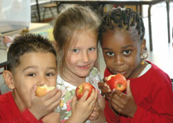 Kinderen in de jeugdhulp